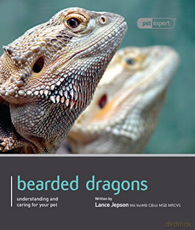 Bearded Dragon - Pet Expert: Understanding and Caring for Your Pet: Pet Book - Lance Jepson [KSIĄŻKA]