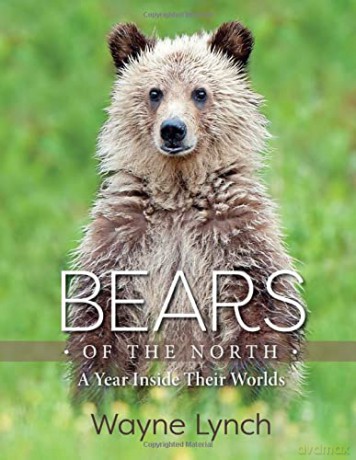 Bears of the North: A Year Inside Their Worlds - Lynch [KSIĄŻKA]