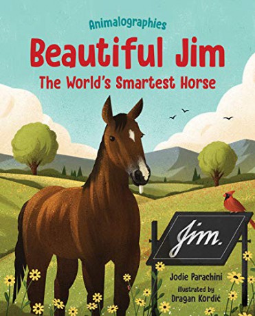 Beautiful Jim: The World's Smartest Horse (Animalographies) - Jodie Parachini [KSIĄŻKA]