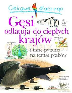 Ciekawe dlaczego gęsi odlatują do ciepłych krajów - Andrew Charman [KSIĄŻKA]