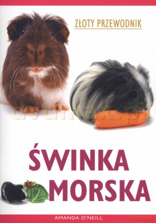 Świnka morska - Amanda ONeill [KSIĄŻKA]