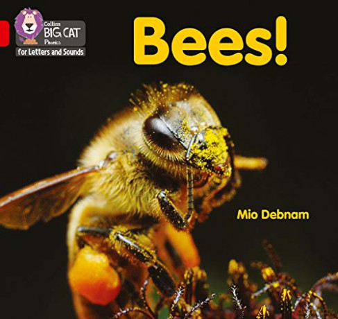 Bees!: Band 02B/Red B (Collins Big Cat Phonics for Letters and Sounds) - Mio Debnam [KSIĄŻKA]
