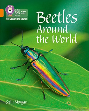 Beetles Around the World: Band 06/Orange (Collins Big Cat Phonics for Letters and Sounds) - Sally Morgan [KSIĄŻKA]