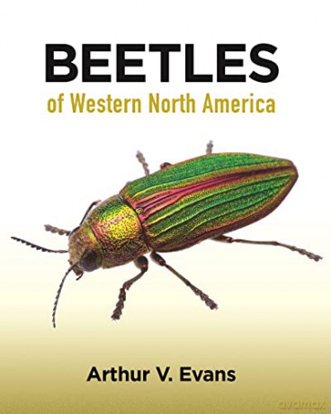 Beetles of Western North America - Arthur V. Evans [KSIĄŻKA]