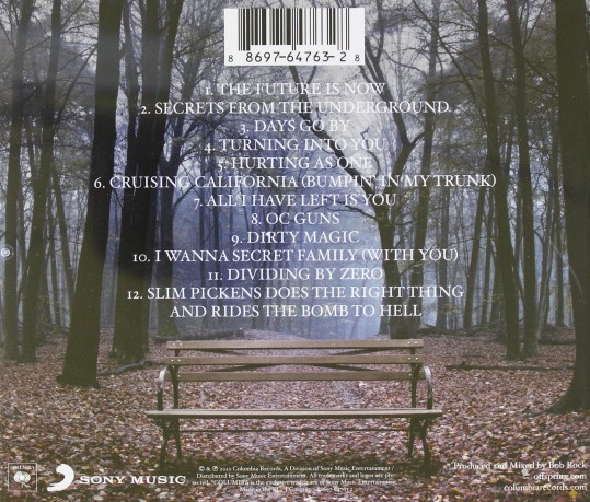 The Offspring: Days go by [CD]