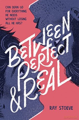 Between Perfect and Real - Ray Stoeve [KSIĄŻKA]