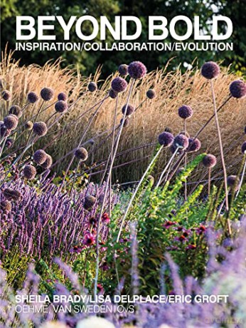 Beyond Bold: Inspiration, Collaboration, Evolution - Lisa Delplace [KSIĄŻKA]