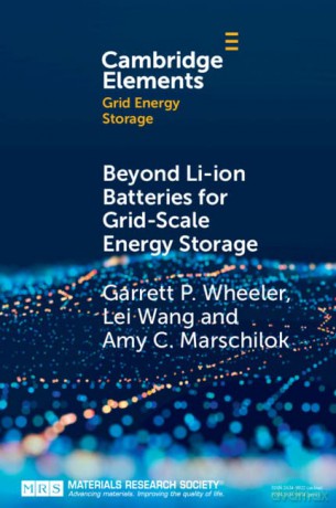 Beyond Li-ion Batteries for Grid-Scale Energy Storage (Elements in Grid Energy Storage) - Garrett P. Wheeler [KSIĄŻKA]