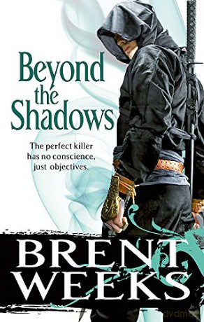 Beyond The Shadows: Book 3 of the Night Angel - Brent Weeks [KSIĄŻKA]