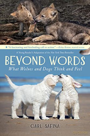 Beyond Words: What Wolves and Dogs Think and Feel (A Young Reader: 2 - Carl Safina [KSIĄŻKA]