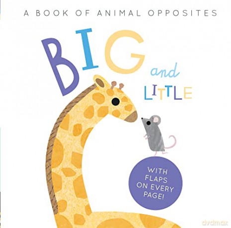 Big and Little: A Book of Animal Opposites - Harriet Evans [KSIĄŻKA]