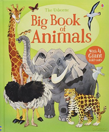 Big Book of Animals (Big Books): 1 - Hazel Maskell [KSIĄŻKA]