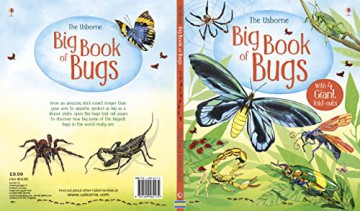 Big Book of Bugs: 1 (Big Books) - Emily Bone [KSIĄŻKA]