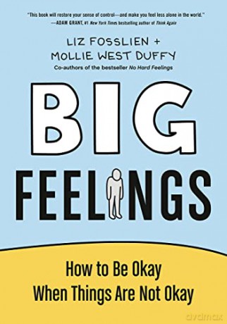Big Feelings: How to Be Okay When Things Are Not Okay - Liz Fosslien [KSIĄŻKA]