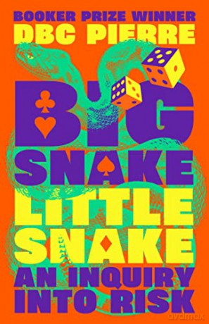 Big Snake Little Snake: An Inquiry into Risk - DBC Pierre [KSIĄŻKA]