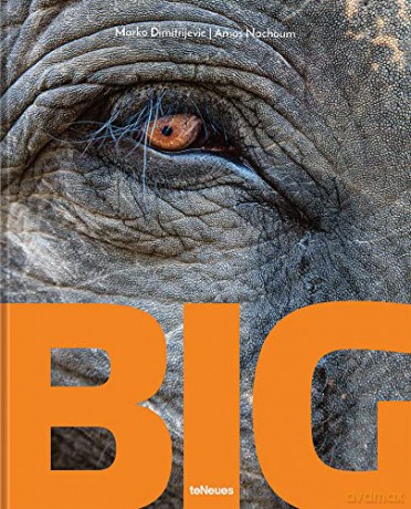 Big: A Photographic Album of the World's Largest Animals - Marko Dimitrijevic [KSIĄŻKA]