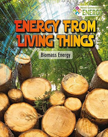 Biomass Energy (Next Generation Energy) - Rachel Stuckey [KSIĄŻKA]