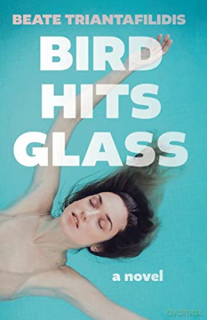 Bird Hits Glass - Beate Triantafilidis [KSIĄŻKA]