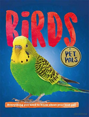Birds - Pat Jacobs [KSIĄŻKA]