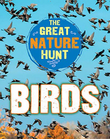 Birds (The Great Nature Hunt) - Cath Senker [KSIĄŻKA]