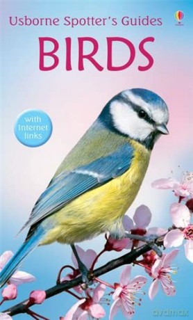 Birds (Usborne Spotter's Guide) (Spotter's Guides) - Peter Holden [KSIĄŻKA]