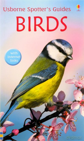 Birds (Usborne Spotter's Guide) (Spotter's Guides) - Peter Holden [KSIĄŻKA]