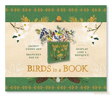 Birds in a Book (UpLifting Editions): Jacket Comes Off. Branches Pop Up. Display Like a Bouquet! (Bouquet in a Book) - Rachel Grant [KSIĄŻKA]