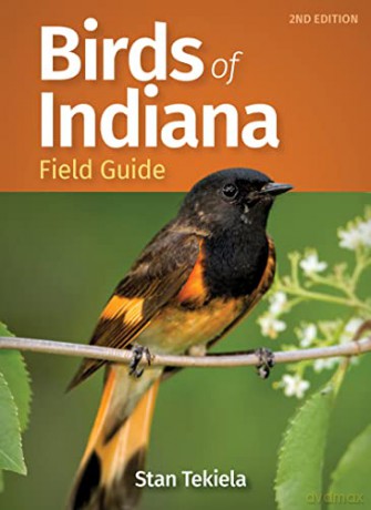 Birds of Indiana Field Guide (Bird Identification Guides) - Stan Tekiela [KSIĄŻKA]