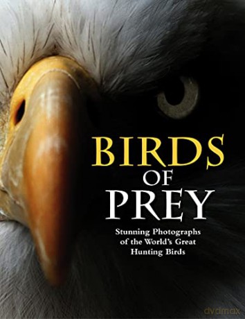 Birds of Prey: Stunning Photographs of the World's Great Hunting Birds (Animals): Stunning Photographs of the World's Great Hunting Birds - Tom Jackson [KSIĄŻKA]