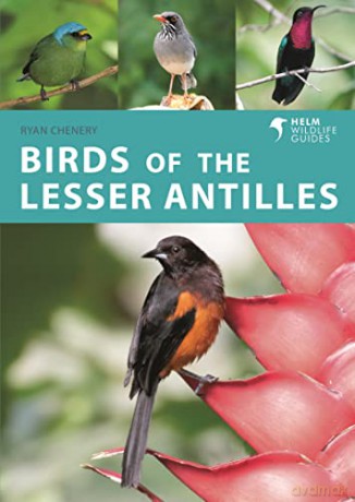 Birds of the Lesser Antilles (Helm Wildlife Guides) - Ryan Chenery [KSIĄŻKA]