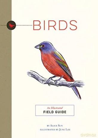 Birds: An Illustrated Field Guide (Illustrated Field Guides) - Alice Sun [KSIĄŻKA]