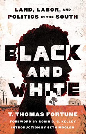 Black and White: Land, Labor, and Politics in the South - T. Thomas Fortune [KSIĄŻKA]