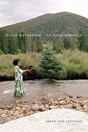 Black Gathering: Art, Ecology, Ungiven Life (Black Outdoors: Innovations in the Poetics of Study) - Sarah Jane Cervenak [KSIĄŻKA]