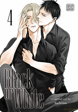 Black or White, Vol. 4 - Sachimo [KSIĄŻKA]