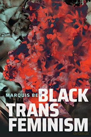 Black Trans Feminism (Black Outdoors: Innovations in the Poetics of Study) - Marquis Bey [KSIĄŻKA]