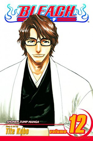 Bleach: v. 12: Flower on the Precipice: Volume 12 - Tite Kubo [KSIĄŻKA]