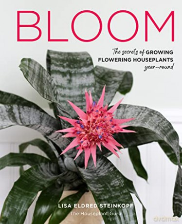 Bloom: The secrets of growing flowering houseplants year-round - Lisa Eldred Steinkopf [KSIĄŻKA]