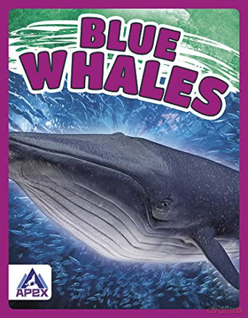Blue Whales (Giants of the Sea) - Katie Chanez [KSIĄŻKA]