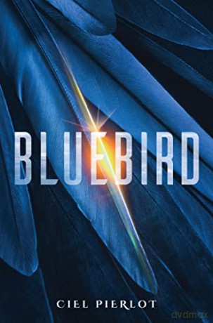 Bluebird - Ciel Pierlot [KSIĄŻKA]