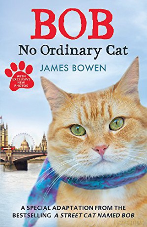 Bob: No Ordinary Cat - James Bowen [KSIĄŻKA]