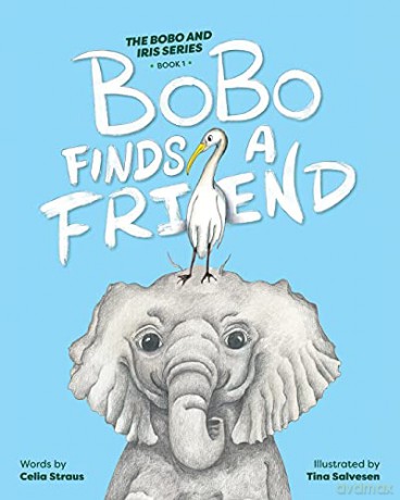 BoBo Finds a Friend: 1 (BoBo and Iris) - Tina Salvesen [KSIĄŻKA]