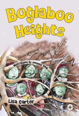 Boglaboo Heights - Lisa Carter [KSIĄŻKA]