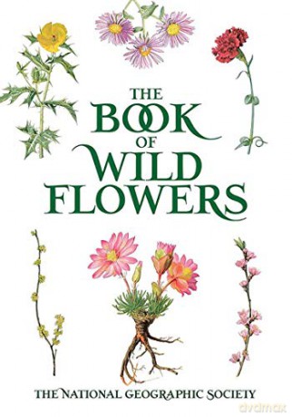 Book of Wild Flowers: Color Plates of 250 Wild Flowers and Grasses - Mary Eaton [KSIĄŻKA]