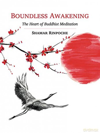 Boundless Awakening: The Heart of Buddhist Meditation - Shamar Rinpoche [KSIĄŻKA]
