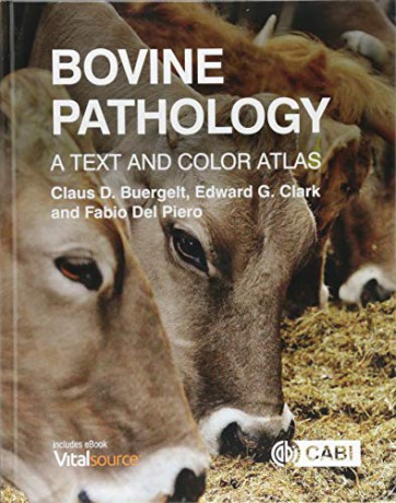 Bovine Pathology: A Text and Color Atlas - Claus D. Buergelt [KSIĄŻKA]