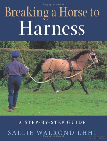 Breaking a Horse to Harness: A Step-by-Step Guide - Sallie Walrond [KSIĄŻKA]
