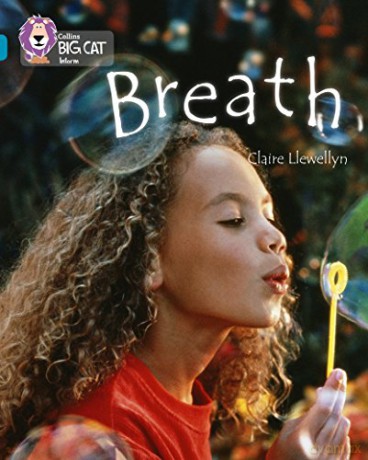 Breath: Band 13/Topaz (Collins Big Cat) - Claire Llewellyn [KSIĄŻKA]