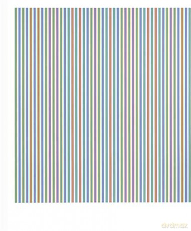 Bridget Riley: The Stripe Paintings 1961-2014 - Paul Moorhouse [KSIĄŻKA]
