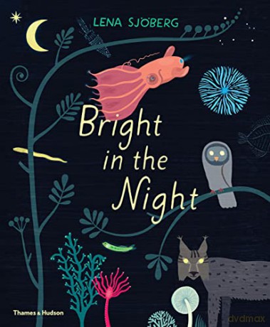 Bright in the Night - Lena Sjöberg [KSIĄŻKA]