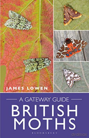 British Moths: A Gateway Guide - James Lowen [KSIĄŻKA]